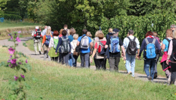 Singlewandern Berlin